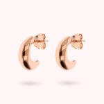 Orecchini Lobo Mezza Luna Taglio Goccia WSBZ02262R