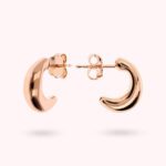 Orecchini Lobo Mezza Luna Taglio Goccia WSBZ02262R chiusura