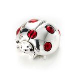 coccinella acca placcata argento ar 409 cc