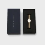 Orologio Daniel Wellington Petite Mini Evergold Acciaio Dorato e Cinturino Maglia Milanese DW00100745 scatola